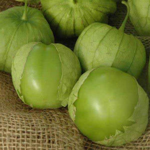 Tomatillo Tamayo - 4" Potted Vegetable