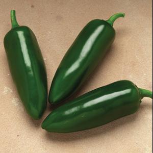 Pepper Jalafuego - 4" Potted Vegetable
