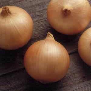 Onion Candy - 4 Pack Vegetable