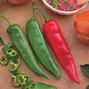 Pepper Salsa Garden - 4" Potted Vegetable