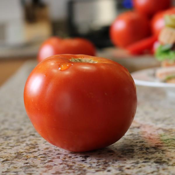 Tomato Celebrity Plus - 4" Potted Vegetable