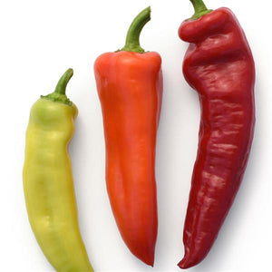 Pepper Sweet Banana - 4" Potted Vegetable