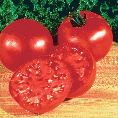 Tomato Burpee Big Boy - 4" Potted Vegetable