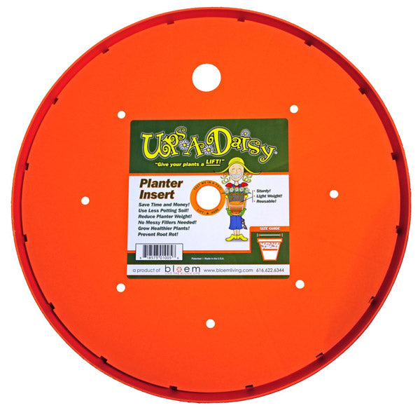 Ups-A-Daisy, 10"