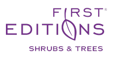 First Editions®