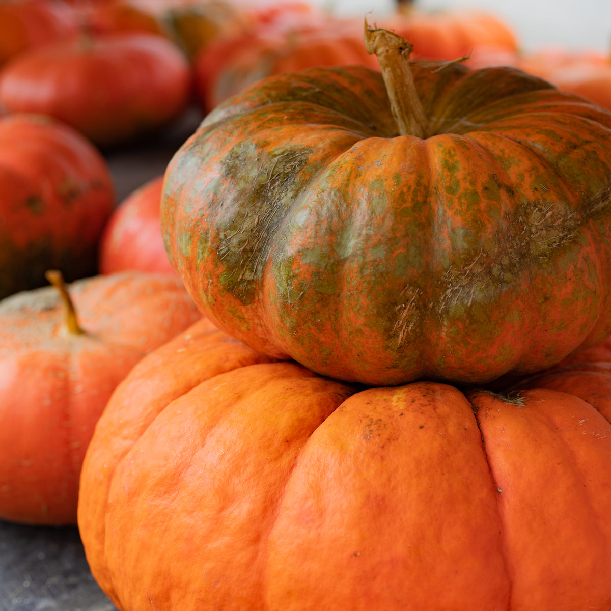 Stacker Pumpkin